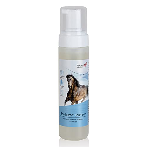 Tierarzt24 EQUIHEXAN Shampoo ist EIN stärkender Pflegekomplex für Haut und Fell - Mit Aloe Vera & Panthenol. Bei Sommerekzem, Mauke, Hautpilz, Druck- und Scheuerstellen - 200 ml von Tierarzt24