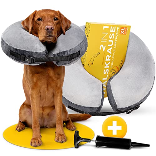 Tierhood ® - aufblasbare Halskrause für Hunde & Katzen [SCHÜTZEND] Leckschutz Hund - Hundekragen - Schutzkragen Hund - Halskragen Hund - Hundehalskrausen - Halskrause Hund - Halskrause Katze (M) von Tierhood