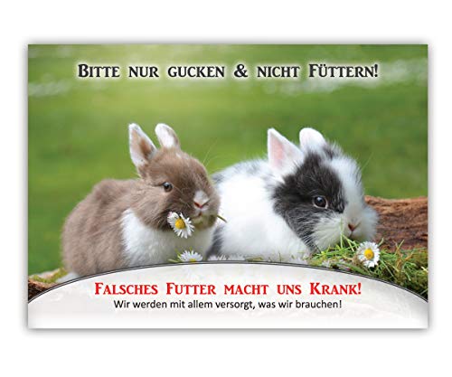 Schild Bitte Nicht füttern Kaninchen - Hinweisschild für Zaun o. Gehege (Hartschaum) von Tierisch werben