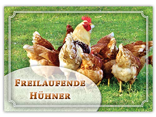 Schild - Freilaufende Hühner - Hinweisschild (Aluverbund) von Tierisch werben