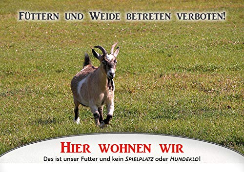 Tierisch werben Weidezaunschild Füttern und Weide betreten verboten Ziege DIN A4 Warnschild (Hartschaum) von Tierisch werben