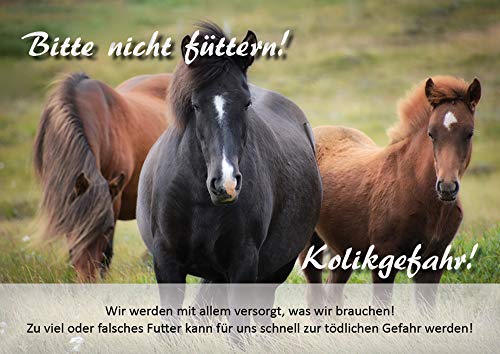 Tierisch werben Weidezaunschild Kolikgefahr Bitte Nicht füttern Pony DIN A4 Warnschild Pferd (Hartschaum) von Tierisch werben