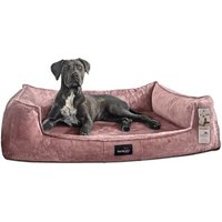 Tierlando ® Orthopädisches Hundebett FRANKLIN Kuscheliger Teddy-Stoff - Hundesofa altrosa 1,6 m, 25 cm, 1,1 m von Tierlando