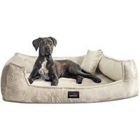 Tierlando ® Orthopädisches Hundebett FRANKLIN Kuscheliger Teddy-Stoff - Hundesofa creme 1,6 m, 25 cm, 1,1 m von Tierlando