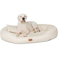Tierlando Orthopädisches Hundebett LENNART VISCO PLUS Kunstleder creme 1,4 m, 30 cm, 1,05 m Tierlando Orthopädisches Hundebett LENNART VISCO PLUS Kunstleder creme 1,4 m, 30 cm, 1,05 m von Tierlando