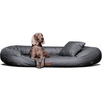 Tierlando Orthopädisches Hundebett LENNART VISCO PLUS Kunstleder schwarz/ graphit 1,4 m, 30 cm, 1,05 m Tierlando Orthopädisches Hundebett LENNART VISCO PLUS Kunstleder schwarz/ graphit 1,4 m, 30 cm, 1,05 m von Tierlando