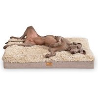 Tierlando PABLO SHAGGY ORTHO PLUS Hundematratze beige 1,5 m, 13 cm, 1 m von Tierlando