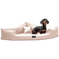 Tierlando TRIVIA orthopädisches Hundebett creme 1,2 m, 25 cm, 1,2 m von Tierlando