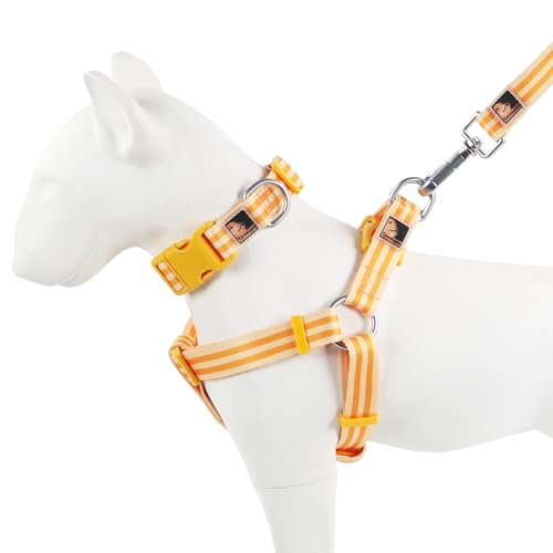 Tiffpaws Gestreiftes 3-in-1-Anzug, Hundehalsband, Geschirre und Leinen, personalisierbar, Hundehalsband für Hunde, einfache süße Hundeleine, kleine Hunde, mittelgroße Hunde, Orange, Größe S von Tiffpaws