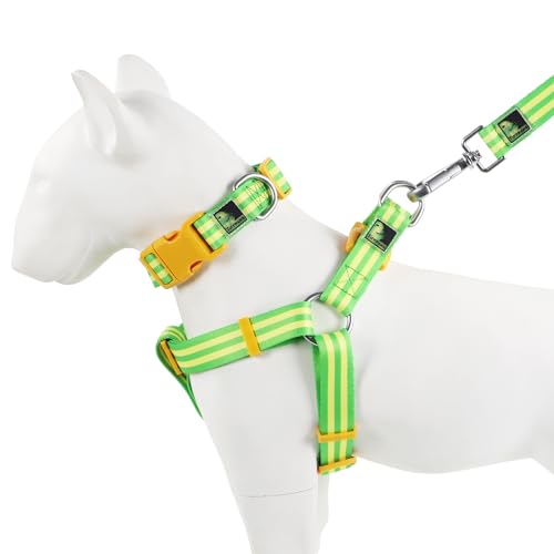 Tiffpaws Gestreiftes 3-in-1-Anzug, Hundehalsband, Geschirre und Leinen, personalisierbar, leicht zu gestalten, niedliche Hundeleine, kleine Hundehalsband, mittelgroße Hunde, Gelb, Größe S von Tiffpaws