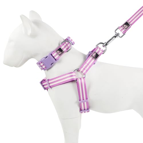 Tiffpaws Gestreiftes 3-in-1-Anzug, Hundehalsband, Geschirre und Leinen, personalisierbar, leicht zu gestalten, niedliche Hundeleine, kleine Hundehalsband, mittelgroße Hunde (lila, S) von Tiffpaws