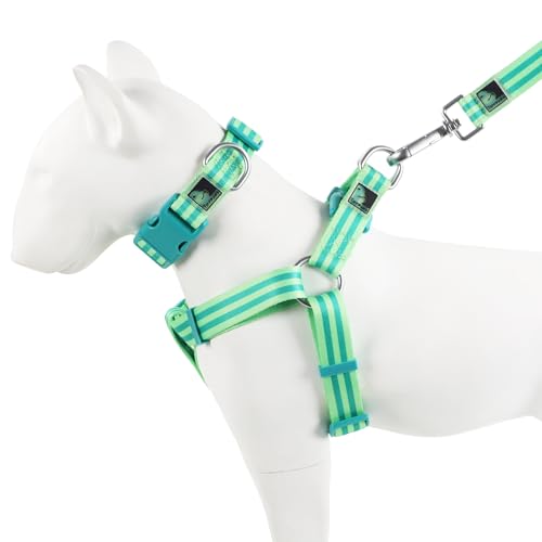 Tiffpaws Gestreiftes 3-in-1-Anzug, Hundehalsband, Geschirr und Leine, personalisierbar, einfach, niedlich für kleine/mittelgroße Hunde (Grün, L) von Tiffpaws