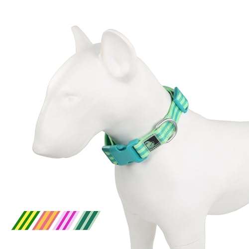 Tiffpaws Gestreiftes Hundehalsband, personalisierbar, für Hundetraining, einfach, niedlich, für kleine Hunde, Welpenhalsbänder (Grün, Größe L (48,3–68,6 cm) von Tiffpaws