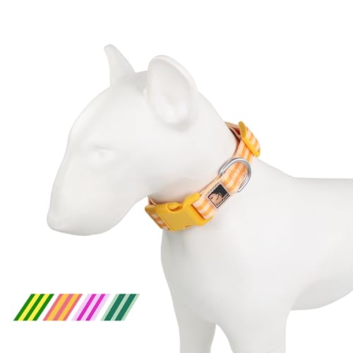 Tiffpaws Gestreiftes Hundehalsband für Hundetraining, einfach, niedlich, für kleine Hunde, Welpenhalsbänder (Orange, Größe L (48,3–68,6 cm) von Tiffpaws