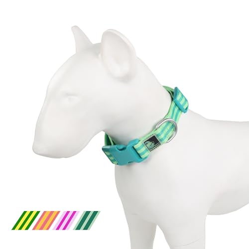 Tiffpaws Gestreiftes Hundehalsband für Hundetraining, einfach, niedlich, für kleine Hunde, Welpenhalsband, Grün, Größe S (35,6–50,8 cm) von Tiffpaws