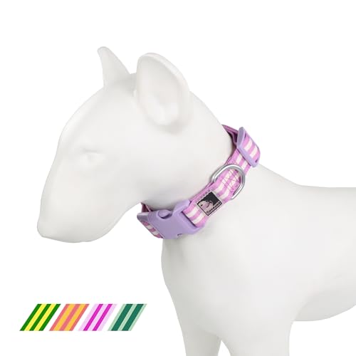 Tiffpaws Gestreiftes Hundehalsband für Hundetraining, einfach, niedlich, für kleine Hunde, Welpenhalsband, Lila, Größe M (40,6–53,3 cm) von Tiffpaws