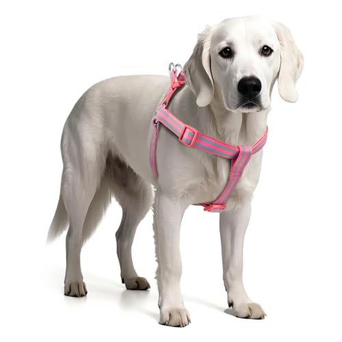 Tiffpaws Upgrade Nylon Step-in-Hundegeschirr, verstellbare Freiheit, kein Ziehen, Hundehalfter Geschirre, leichte und schnell zu öffnende Hundeweste, einfaches Gehen und Training für kleine und von Tiffpaws