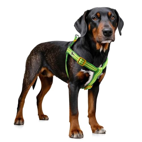 Tiffpaws Upgrade Nylon Step-in-Hundegeschirr, verstellbare Freiheit, kein Ziehen, Hundehalfter Geschirre, leichte und schnell zu öffnende Hundeweste, einfaches Gehen und Training für kleine und von Tiffpaws