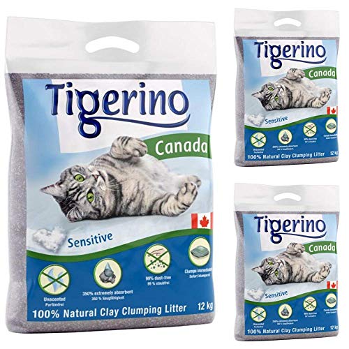 Tigerino Canada Katzenstreu mit Klumpen, 36 kg, geruchlos, antibakteriell, Einweg- und hypoallergen, mit Geruchskontrolle, Formelfrei, 4,5 cm natürlicher Katzenminze-Ball von Tigerino