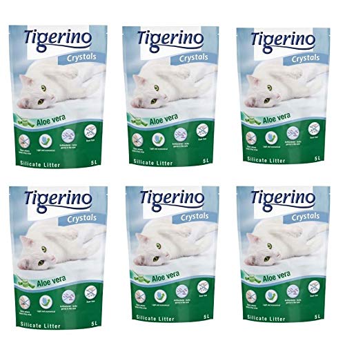 Tigerino Crystals Aloe Vera Katzenstreu, staubfrei, 6 x 5 l, nicht klumpend von Tigerino