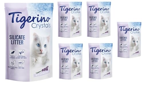 Tigerino Crystals Lavender Katzenstreu Super Pack: 6 x 5 Liter Silikatstreu mit frischem Lavendelduft Umweltfreundlich Super Saugfähige Streu + Connect 2in1 Katzentunnel von Tigerino