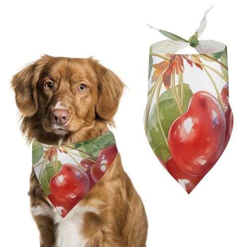 Hund Bandanas Aquarell-Kirschfrucht Hundeschal Latztuch Für Haustiere Large: 70 * 30 cm von Tilivyx