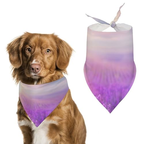 Hund Bandanas Lavendel-Sonnenuntergang-Landschaft Hundeschal Latztuch Für Haustiere Large: 70 * 30 cm von Tilivyx