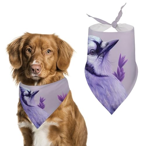 Hund Bandanas Lila Blumen Und Vogel Hundeschal Latztuch Für Haustiere Large: 70 * 30 cm von Tilivyx