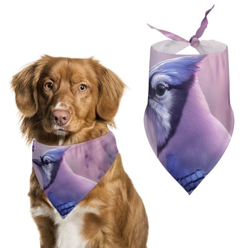 Hund Bandanas Lila Blumen Und Vogel Hundeschal Latztuch Für Haustiere Large: 70 * 30 cm von Tilivyx