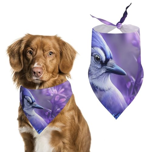 Hund Bandanas Lila Blumen Und Vogel Hundeschal Latztuch Für Haustiere Large: 70 * 30 cm von Tilivyx