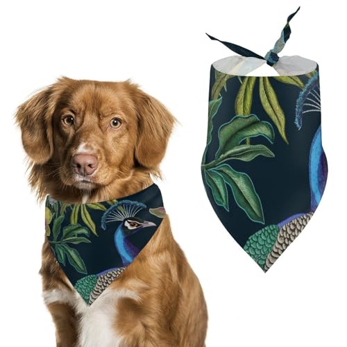 Hund Bandanas Pfaue Vögel Tropische Muster Hundeschal Latztuch Für Haustiere Large: 70 * 30 cm von Tilivyx