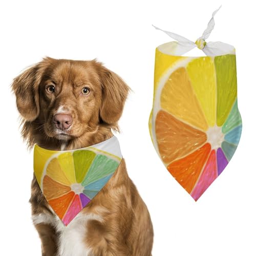Hund Bandanas Regenbogen Zitrone Hundeschal Latztuch Für Haustiere Large: 70 * 30 cm von Tilivyx