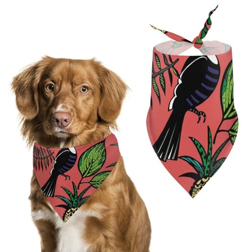 Hund Bandanas Tukan Vogel Blätter Muster Hundeschal Latztuch Für Haustiere Large: 70 * 30 cm von Tilivyx