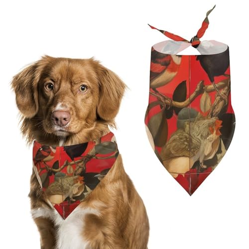 Hund Bandanas Vögel Und Blumen Muster Hundeschal Latztuch Für Haustiere Large: 70 * 30 cm von Tilivyx