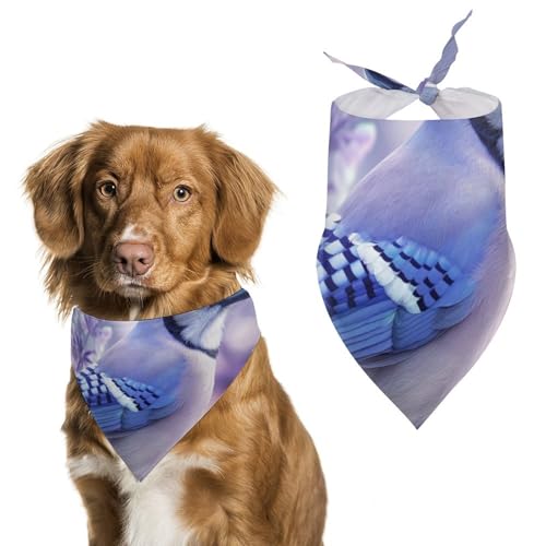 Hund Bandanas Vogel Und Lila Blumen Hundeschal Latztuch Für Haustiere Large: 70 * 30 cm von Tilivyx