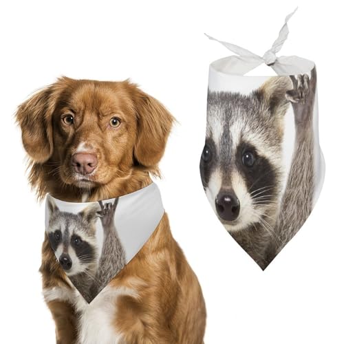 Hund Bandanas Waschbär Hundeschal Latztuch Für Haustiere Large: 70 * 30 cm von Tilivyx