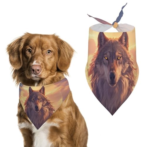 Hund Bandanas Wolf Wolken Hintergrund Hundeschal Latztuch Für Haustiere Large: 70 * 30 cm von Tilivyx