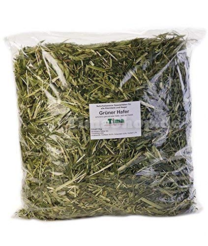 Tima Grüner Hafer 1 kg Vorteilspack für Nager und Kleintiere von Tima