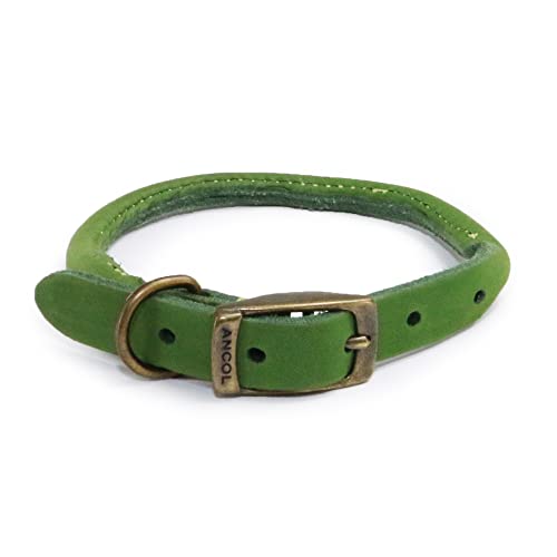 Ancol Timberwolf Hundehalsband, Leder, rund, 28-36 cm, Größe 3, Grün von Ancol