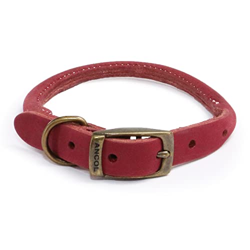 Ancol Timberwolf Rundes Lederhalsband, Rapberry, 28–36 cm, Größe 3, Rosa von GONDMAX