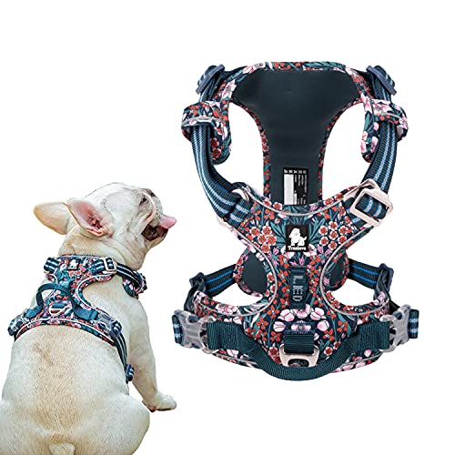 Tineer Blumenmuster No-Pull Hundegeschirr Reflektierendes Nylon Verstellbare Weiche, gepolsterte Weste Geschirr Training für kleine mittelgroße Hunde (L Brust: 69-81cm, Blau Rot) von Tineer