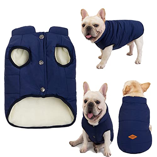 Tineer Haustier Hunde Winterkleidung Nettes Haustier Warme Jacke Weste Mantel Französische Bulldogge Warme Weste Anzug (L, Blau) von Tineer