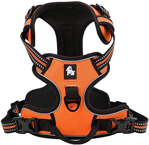 Tineer Reflektierendes Nylon großes Haustier Hundegeschirr 3M reflektierende Weste mit Griff Allwetter-Hundedienst gepolsterte justierbare Sicherheits-vehicular führt für Hunde Haustier (XS, Orange) von Tineer