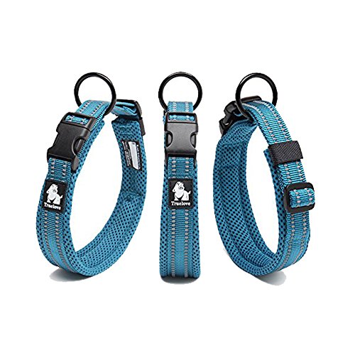 Tineer einstellbare reflektierende Nylon Hundehalsbänder gepolstert weich atmungsaktiv Mesh gepolsterte Halskette Halsband für alle Rassen Hundetraining (S (35-40cm), Sky Blue) von Tineer