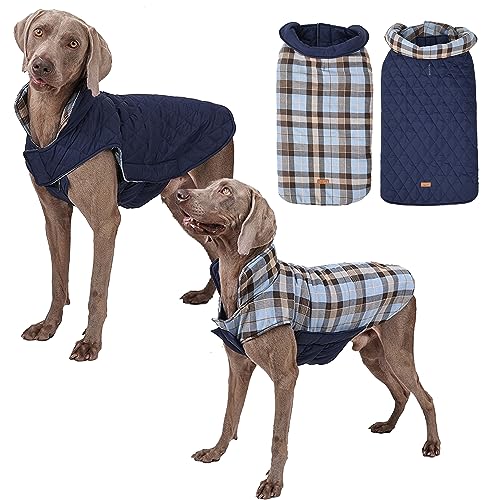 Tineer wasserdichte doppelseitige Hundejacke Weste für kleine, mittlere und große Hunde - Wendbarer Warmer Hundemantel Hundebekleidung für Herbst und Winter (3XL, Blau) von Tineer