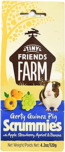 Supreme Scrummies Apple Strawberry Baked Bites For Guinea Pigs 4.2 oz - 3 Pack von Tiny Friends Farm