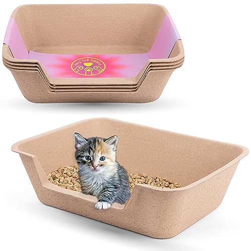 Tiny Toe Beans - Einweg-Katzentoiletten für Katzen- und Kätzchentoilette mit niedrigem Einstieg - Einweg-Katzentoilette - (4er-Set) (aktualisierte Verpackung - gleiche tolle Katzentoiletten!) von Tiny Toe Beans