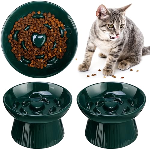 Tioncy 2 Stück Keramik Slow Feeder Erhöhter Katzennapf Katzenfutternapf Erhöhte Katzennäpfe Trockennapf Nassfutter und Wassernapf Leicht zu reinigen Haustiernäpfe Hoher Rand für Katzen Kleine Hunde von Tioncy