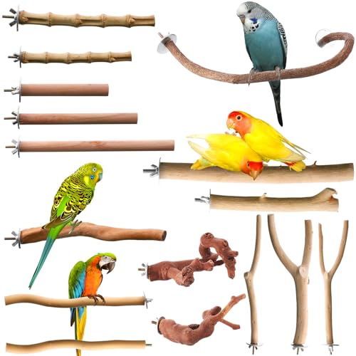 Tioncy Vogelsitzstangen aus natürlichem Holz für Papageien, Vogelsitzstange, Ständer, Gabel, Spielzeug, zum Aufhängen, mehrere Zweige für Papageien, Sittiche, Nymphensittiche, Sittiche, Sittiche, von Tioncy