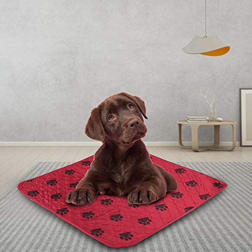 Tixiyu Wiederverwendbare wasserdichte Hunde-PIPI-Pad-Urinmatte für Hunde und Katzen (70 * 80cm) von Tixiyu